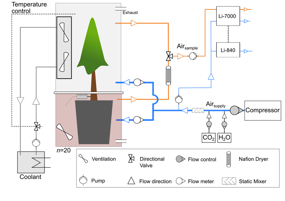 Schematic of Tree Flux System